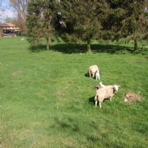 Charmehotel De stokerij te Oudenburg, West-Vlaanderen - Overnachten nabij Brugge, Oostende en De Haan